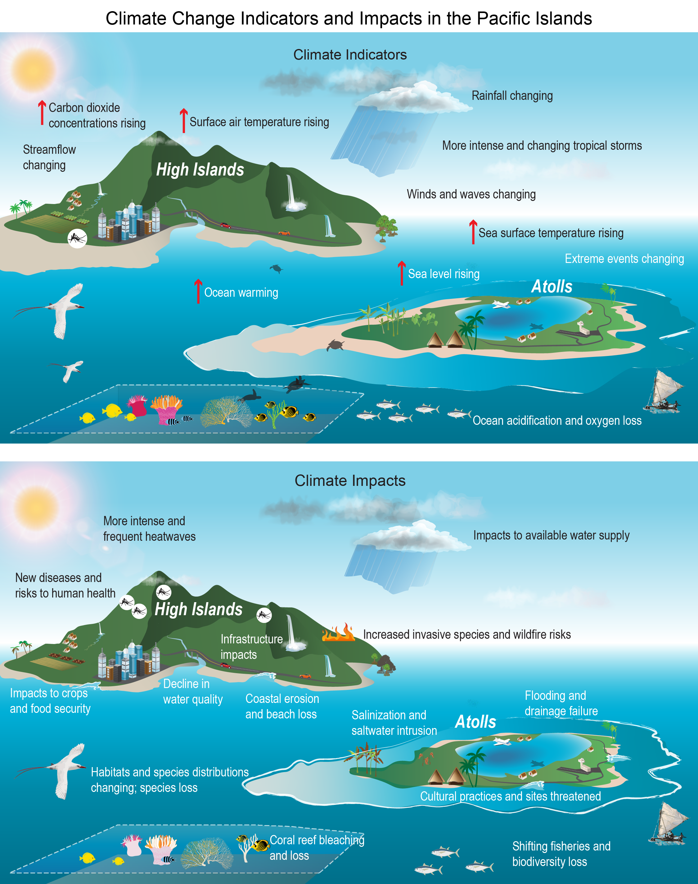 Graphic showing climate change impacts and indicators in the Pacific Islands