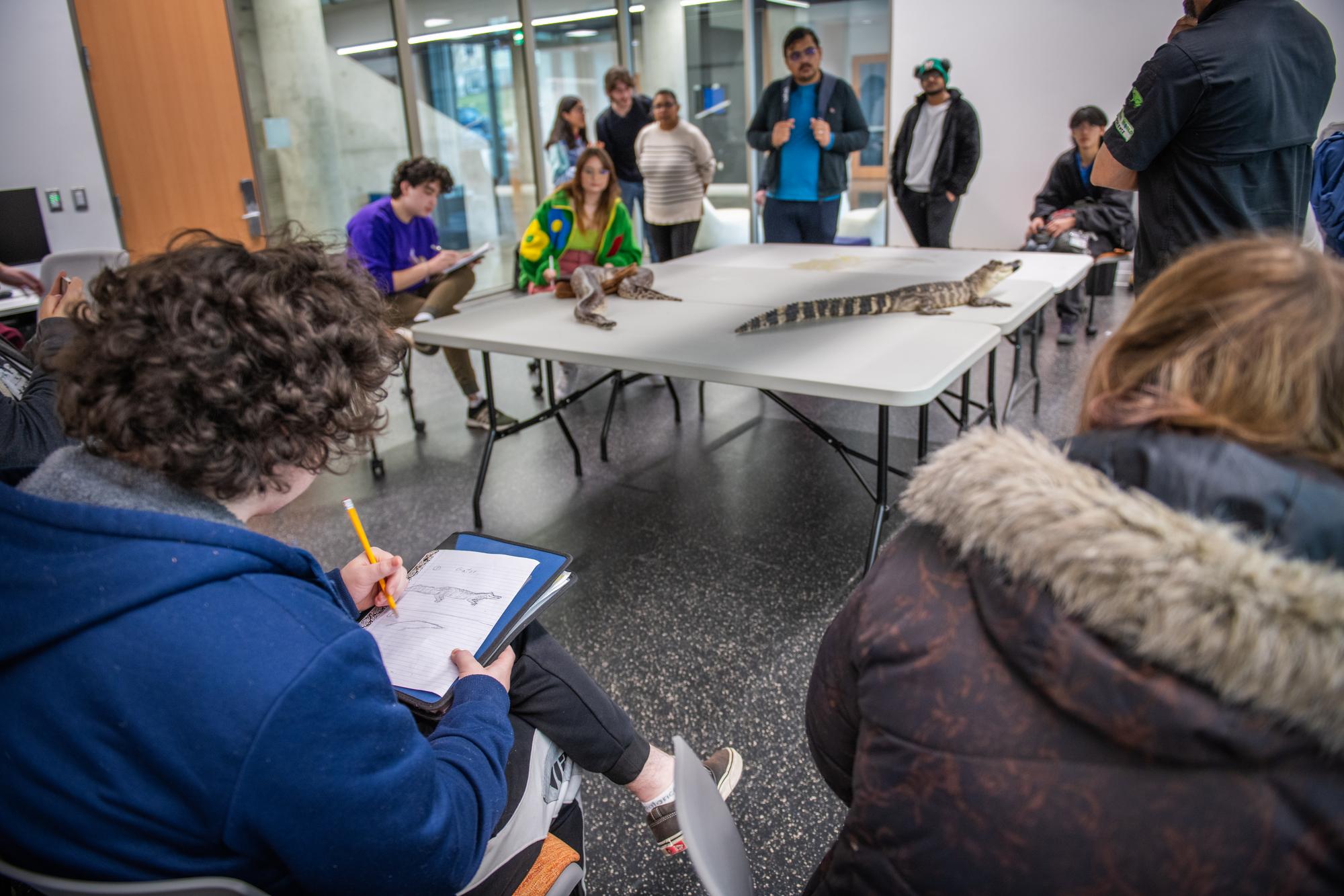 students sketch reptile sitting on table