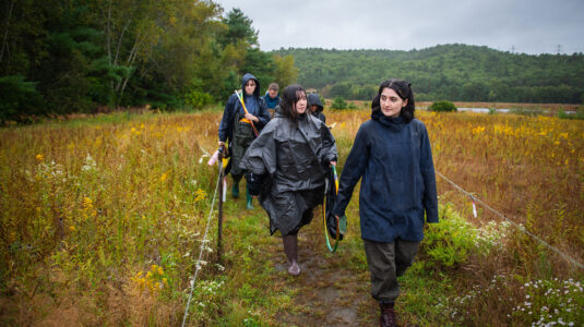 Students walking in field