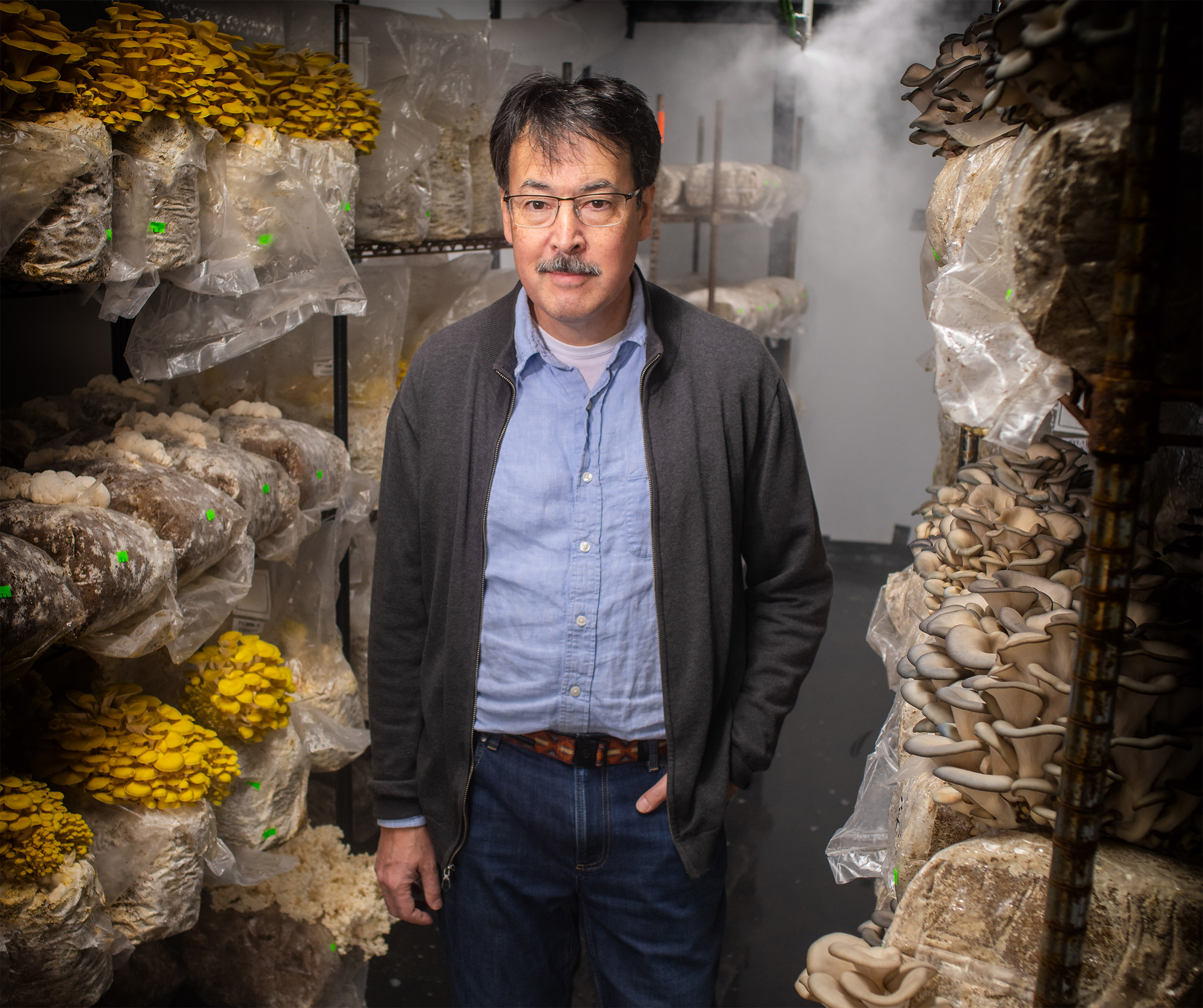 Professor David Hibbett standing among rows of mushroom specimens at Fat Moon Farm in Westward, Mass.