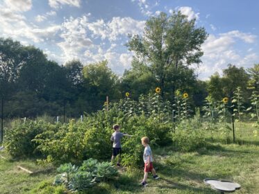 two children in garden