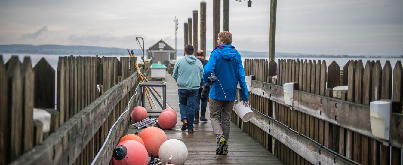 People walking on dock