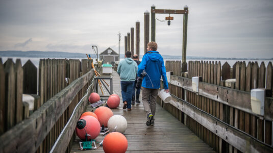 People walking on dock