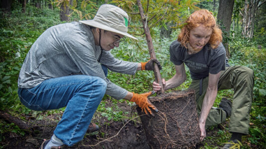 David Henriques ’22, M.S.-GIS ’23, and Galen Oettel ’21, M.S.-GIS ’22 planting a tree in the Hadwen Arboretum