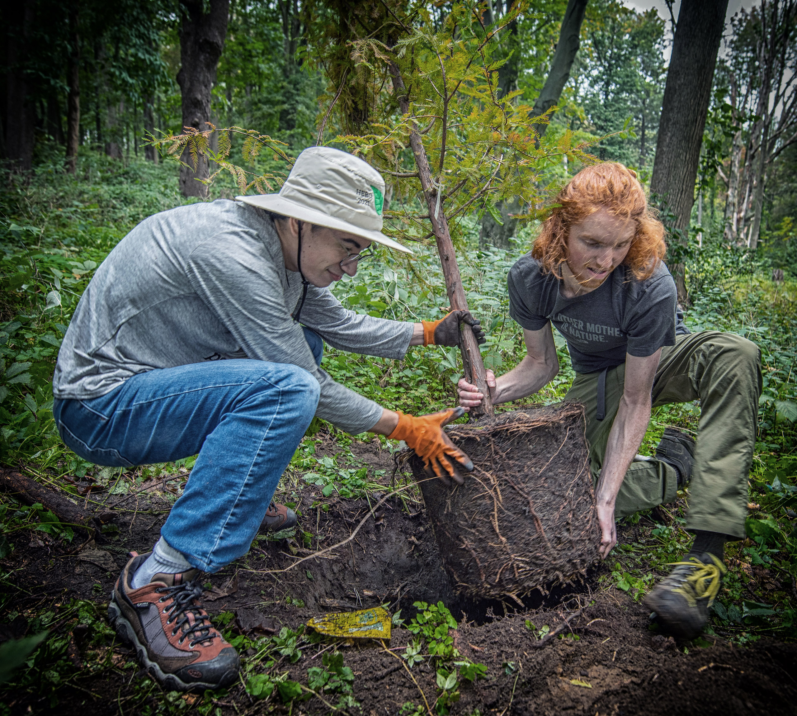 David Henriques ’22, M.S.-GIS ’23, and Galen Oettel ’21, M.S.-GIS ’22 planting a tree in the Hadwen Arboretum