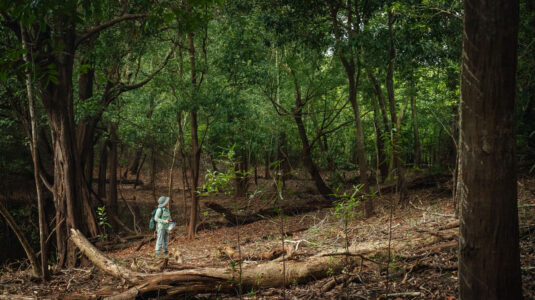 Geography Professor Florencia Sangermano conducts research in a forest