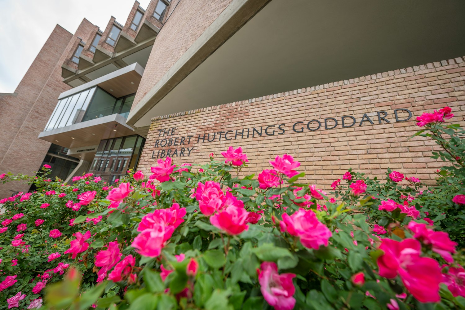 pink flowers in front of goddard library