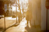 Students walking on Main Street by the Clark University campus