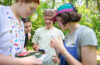 students work in forest