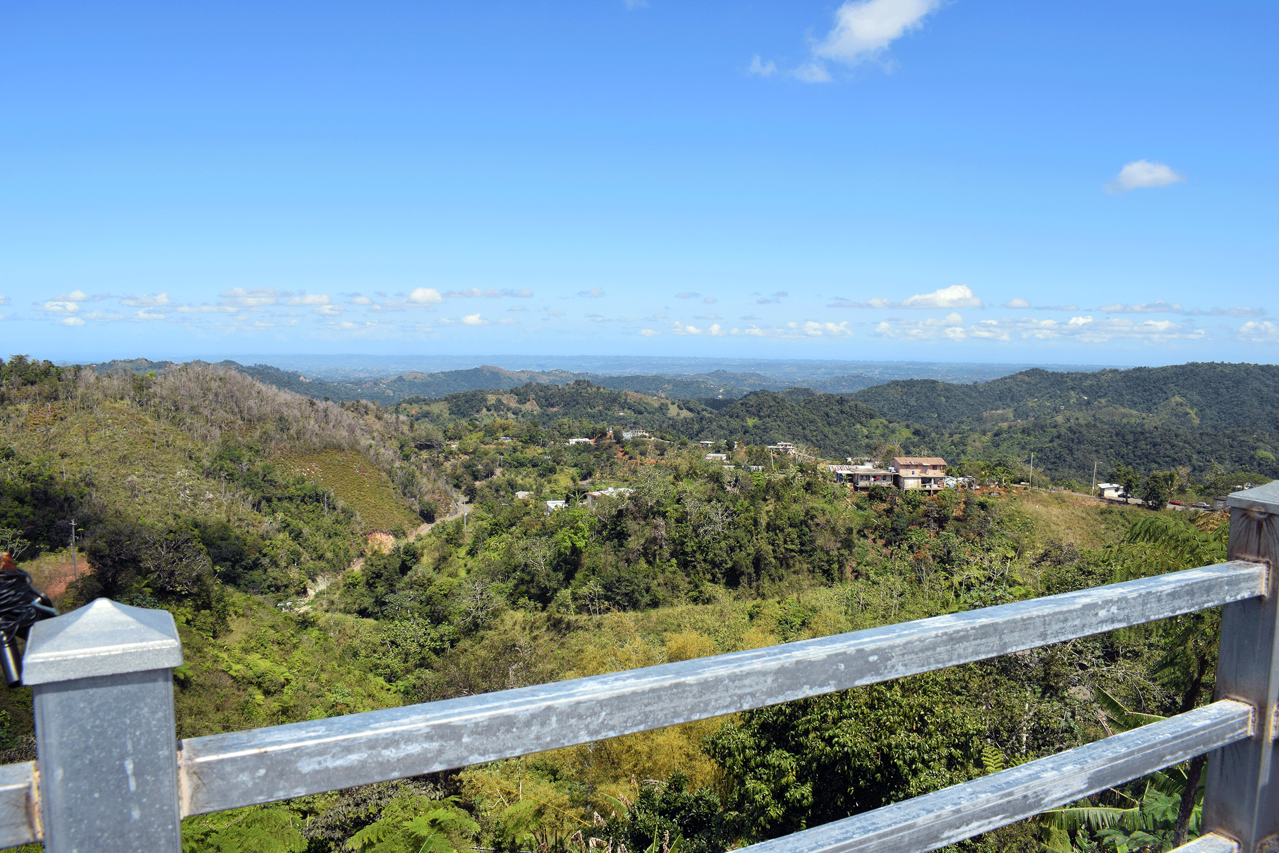 View of Fundacion Bucarabon from mountaintop