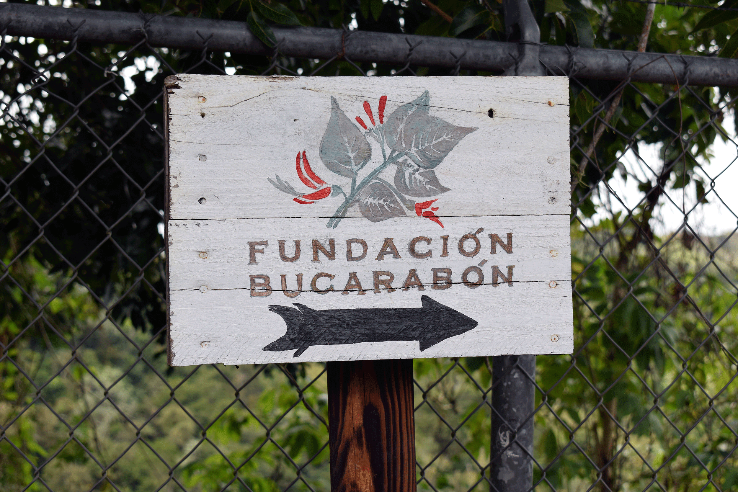 Fundacion Bucarabon-sign 