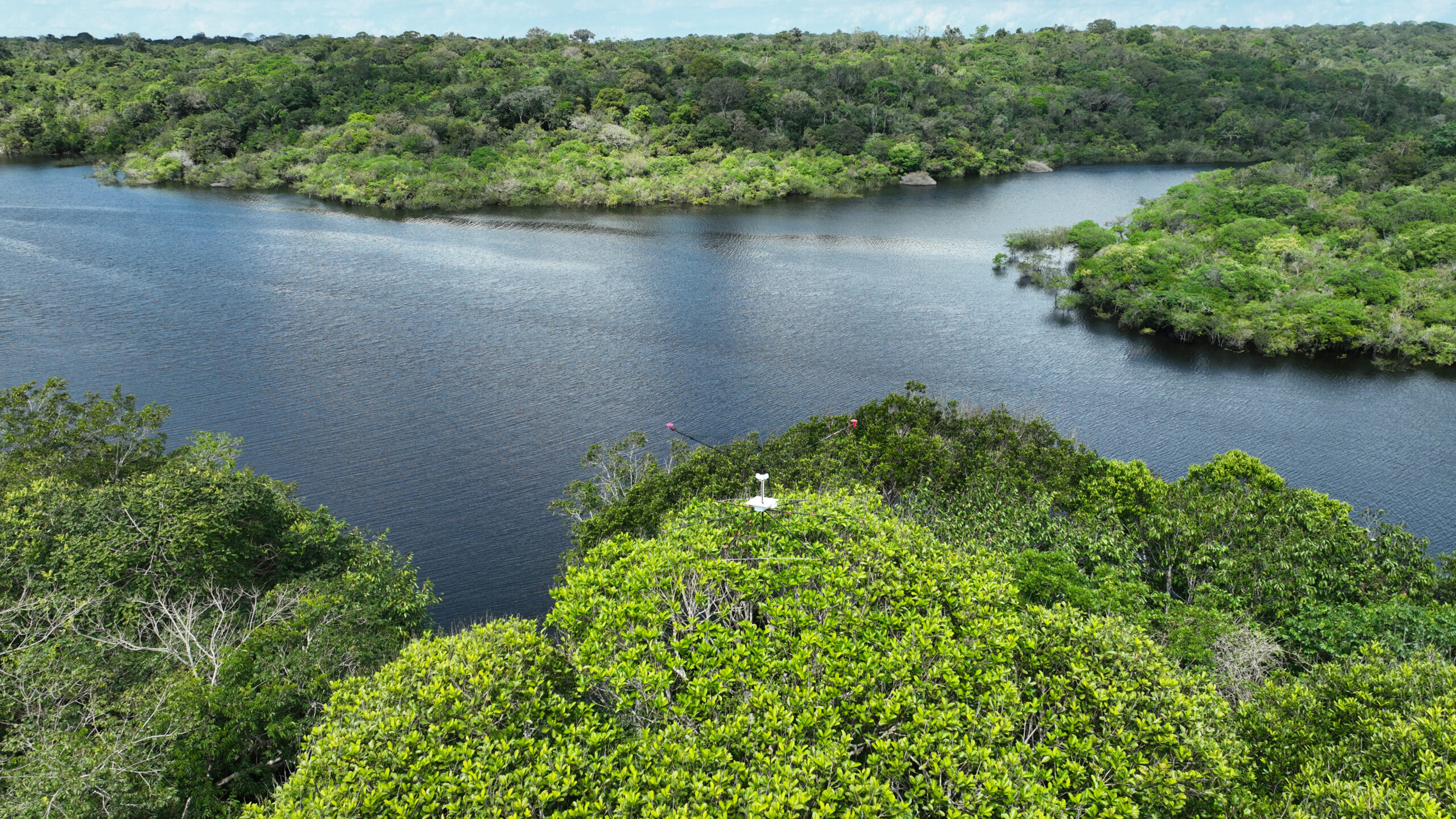 Raft atop a tree