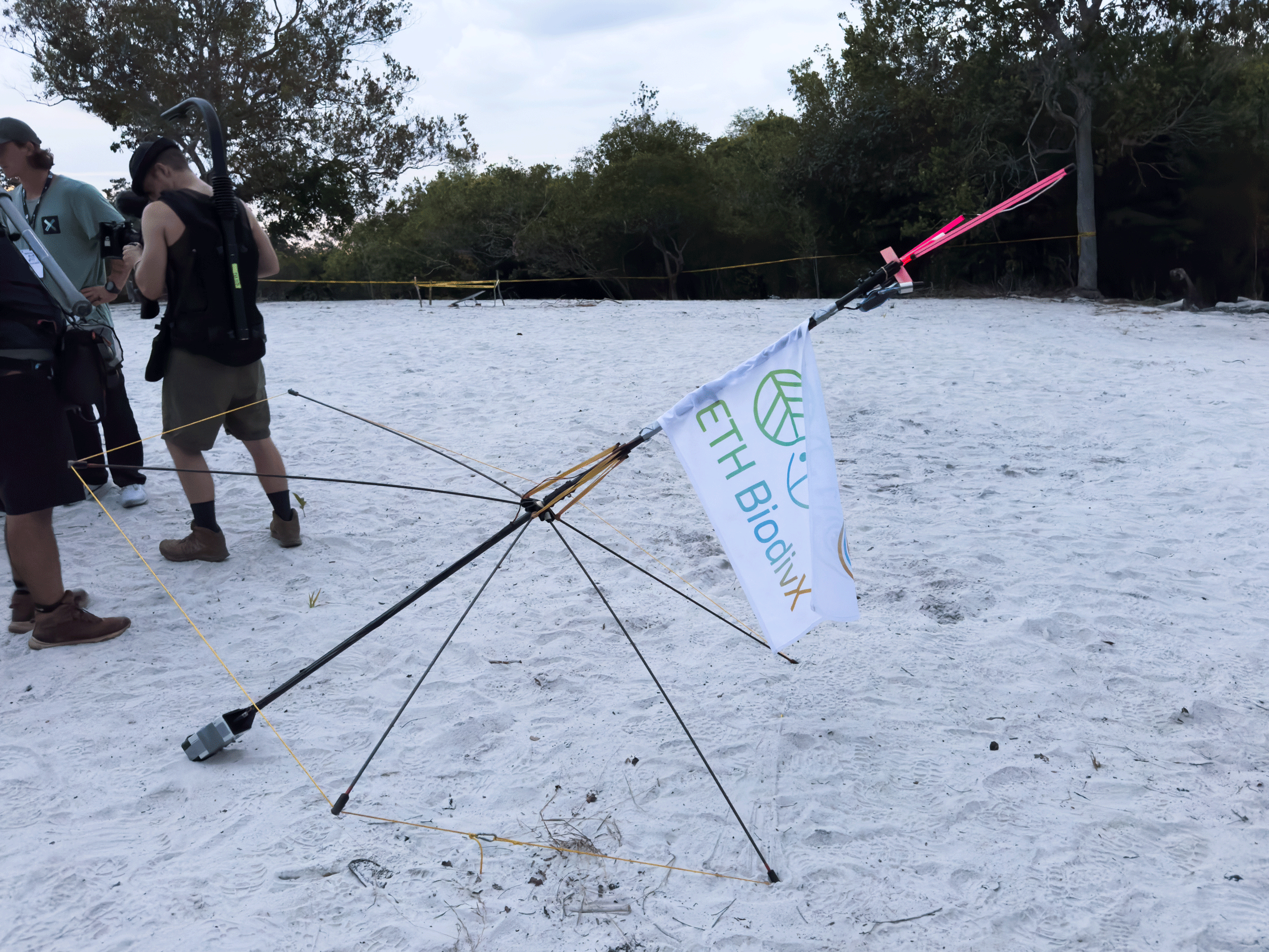 Pole with flag