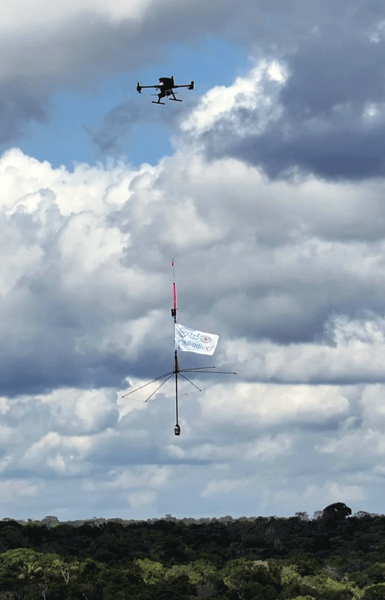 Flag attached to raft