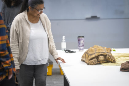 turtle on table near people