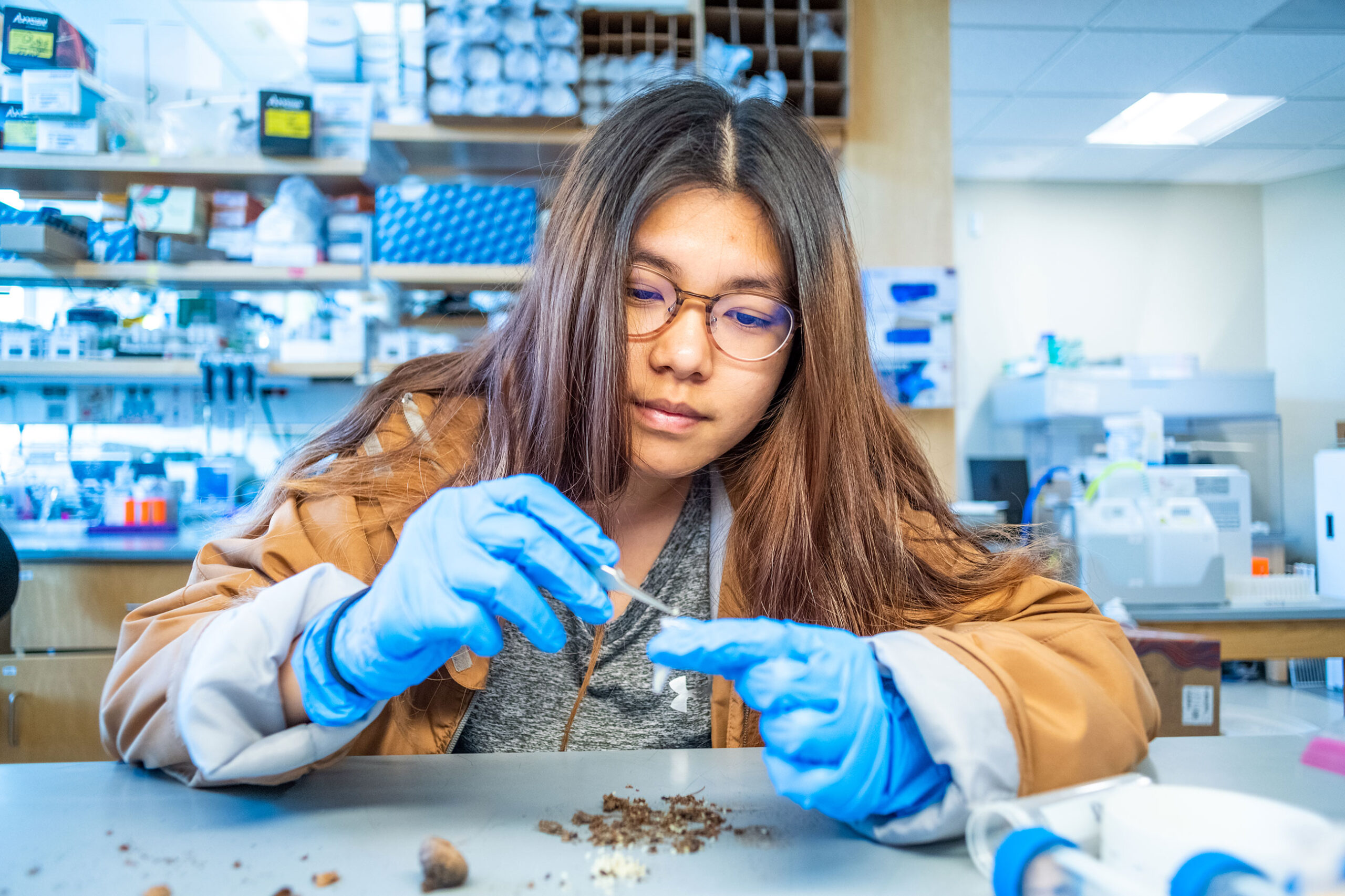 Anh Le ’23 conducts research on acorn-nesting ants in Professor Kaitlyn Mathis’ lab in 2022.