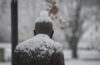 Freud statue in the snow