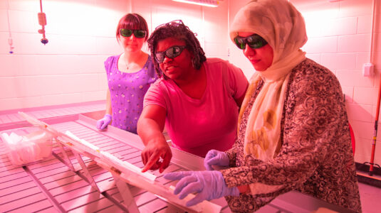 Chandra Jack and students in the EPIC greenhouse